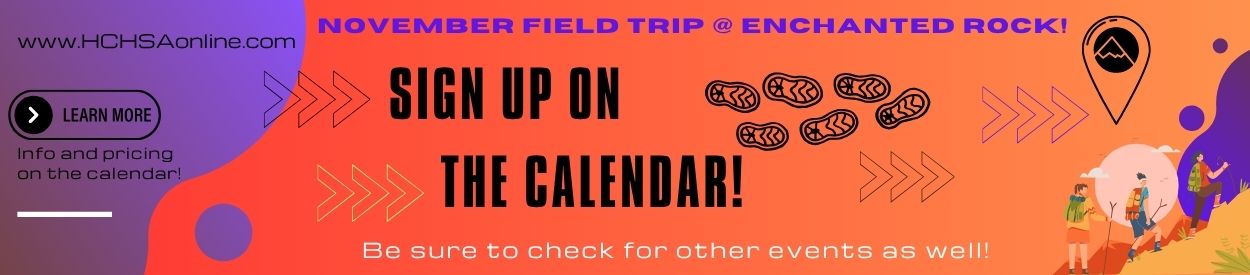 #nivo2 Untitled Header Image