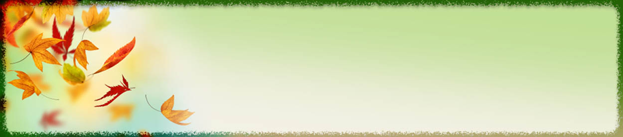 #nivo3 Hill Country Homeschool Association